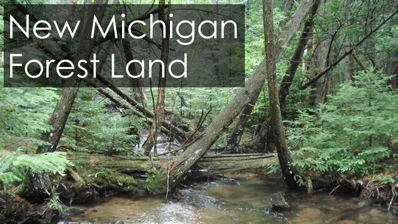 Michigan Adds 2,103 Acres of State Forest Land