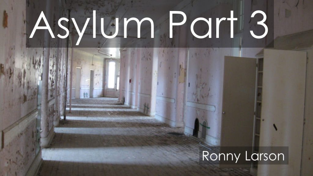 Insane Asylum (Part 3) Ronny Larson