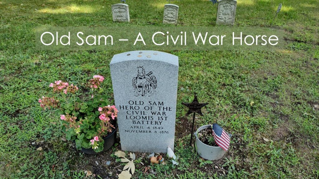 A Civil War Horse -Old Sam - Honored