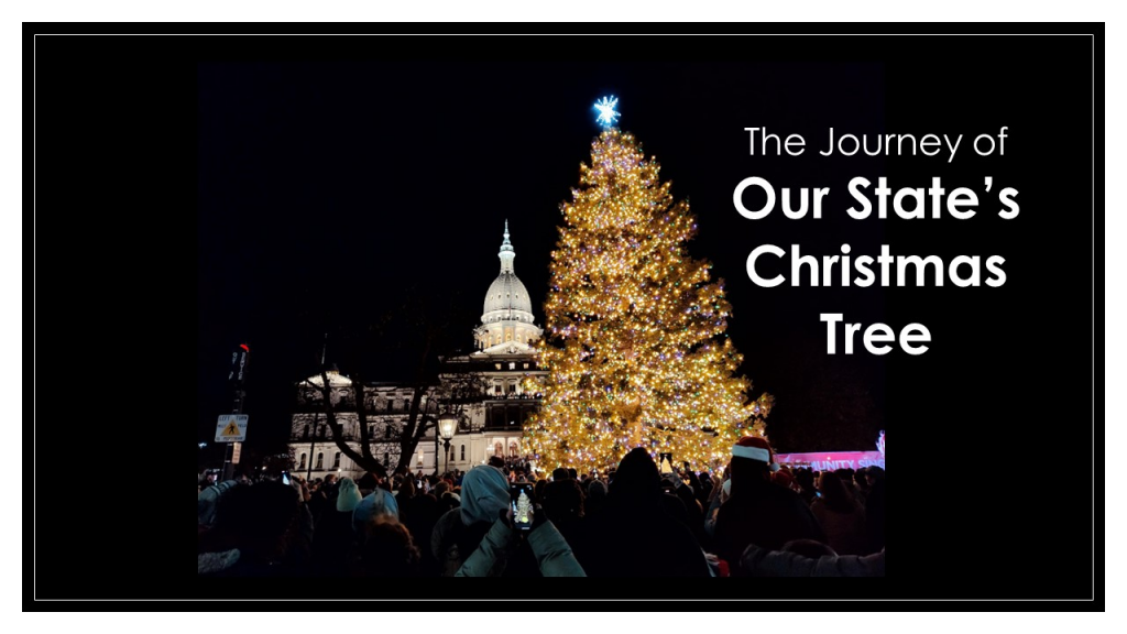 Our State Christmas Tree's Journey