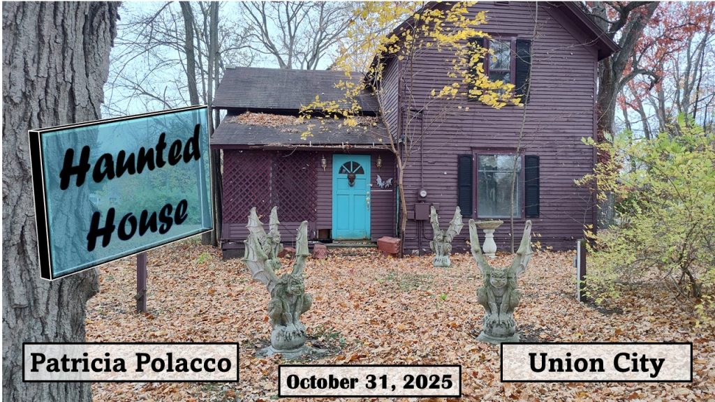 Haunted House - Patricia Polacco